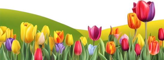 ai généré fleurs sauvages champ, clipart de coloré printemps fleurs sauvages champ. png