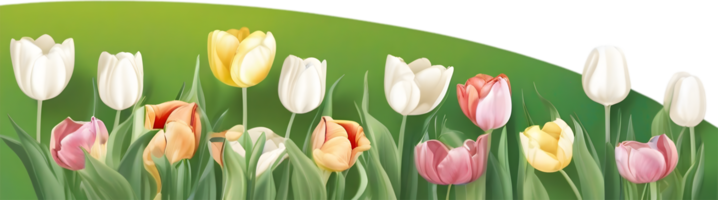 ai gegenereerd wilde bloemen veld, clip art van kleurrijk voorjaar wilde bloemen veld. png