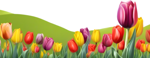 ai gerado flores silvestres campo, clipart do colorida Primavera flores silvestres campo. png