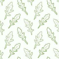Seamless pattern line arugula. Vector painted. Illustration superfood on white background. Sketch leaves in cartoon flat style green outline. Green color.