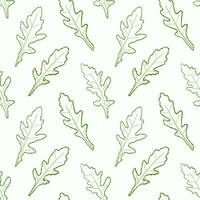 Seamless pattern line arugula. Vector painted. Illustration superfood on white background. Sketch leaves in cartoon flat style green outline. Green color.