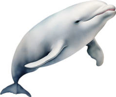 AI generated Beluga whale, Watercolor painting of Beluga whale png