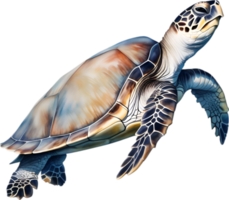 ai genererad hav sköldpadda, en vattenfärg målning av en hav sköldpadda. png