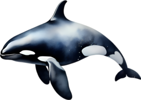AI generated Orca, Watercolor painting of Killer Whale. png