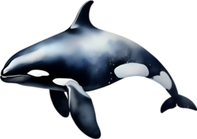 ai generiert Orca, Aquarell Gemälde von Mörder Wal. png