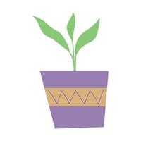 House plant in a pot. Isolated vector illustration