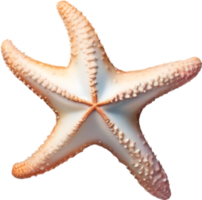 AI generated Starfish, a Watercolor painting of a starfish. png