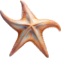 ai generato stella marina, un' acquerello pittura di un' stella marina. png
