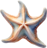 AI generated Starfish, a Watercolor painting of a starfish. png