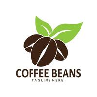 coffee  coffee beans  coffee shop  fruit  seeds  drink  design vector