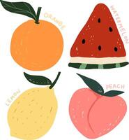 Cute fruits element for templates. vector