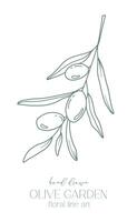 Olive branch on white background vector illustration. Olives Line Drawing. Black and white Olive Branches. Floral Line Art. Fine Line Olives illustration. Hand Drawn Olive. Wedding invitation greenery