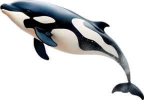 AI generated Orca, Watercolor painting of Killer Whale. png