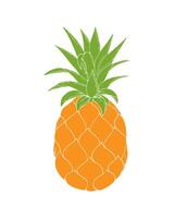 Pineapple colorful isolated on white background, no contour, one fruit hand drawn. vector