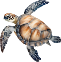 ai generado mar tortuga, un acuarela pintura de un mar tortuga. png