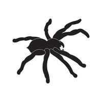 tarántula icono vector