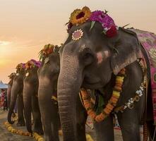 ai generado decorado elefante con guirnalda en Songkran festival a Tailandia foto