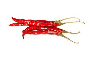 Dry red pepper isolated on white background photo