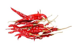 Dry red pepper isolated on white background photo