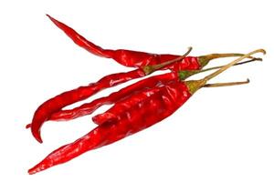 Dry red pepper isolated on white background photo