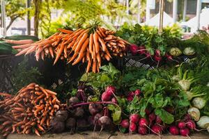 Fresh organic vegetables at the market. Healthy food concept. Vegetables background. photo