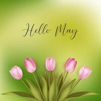 Hello May. welcome may with spring season. May background vector. vector