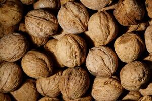 Background of walnuts. Close-up. Whole walnuts. photo