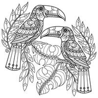 grande pico pájaro mano dibujado para adulto colorante libro vector