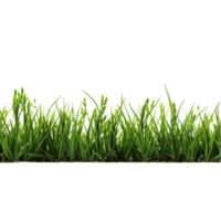 AI generated Green grass isolated on transparent background png