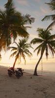 la prima persona Visualizza a piedi a tramonto su spiaggia con Noce di cocco palme nel tropicale nazione. verticale metraggio video