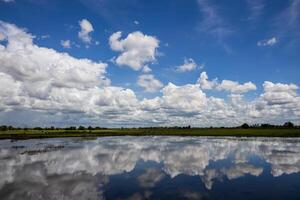 un amplio ver de nublado blanco nubes flotante encima un inundado arroz campo. foto