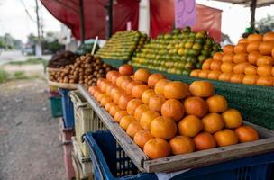 Close-up view of many ripe yellow orange fruits stacked in rows in trays. photo