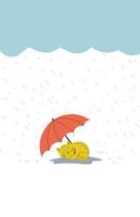 Cat sleeping under an umbrella when it rains vector