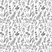 Plant seamless Pattern. Linear Vector illustration with herbs in doodle style painted by black inks on white isolated background. Floral backdrop for wrapping paper or textile design