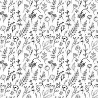 Plant seamless Pattern. Linear Vector illustration with herbs in doodle style painted by black inks on white isolated background. Floral backdrop for wrapping paper or textile design