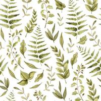 Woodland seamless Pattern with forest leaves and ferns. Hand drawn watercolor ornament on white isolated background with branches and plants for childish wrapping paper or baby textile design. vector