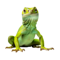 AI generated Green chameleon on transparent background png file