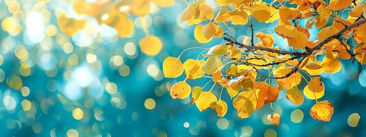 AI Generated Autumn magic. golden leaves and bokeh lights photo