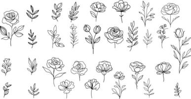 Vector set of one line art flowers. Continuous mono lines roses, leaves, branches. Blossom logos. Simple sketch, black and white. Use as floral icons and logos. Minimalistic botanical illustration.