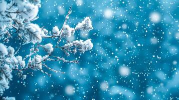 AI Generated Winter wonderland. snow-covered pine branches photo