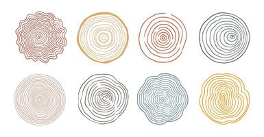 Tree ring wood circle set. Hand drawn tree ring pattern, line ripple circle wood texture. Wood organic slice line design. Vector