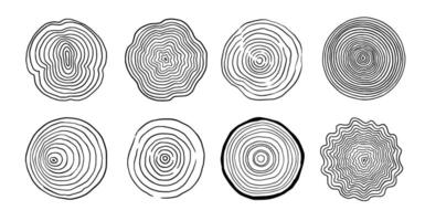 Tree ring wood circle set. Hand drawn tree ring pattern, line ripple circle wood texture. Wood organic slice line design. Vector