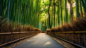 AI Generated Serene bamboo forest pathway at sunset photo
