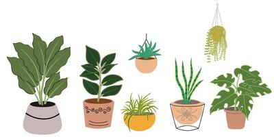 interior plantas en ollas colección en blanco antecedentes. conjunto vector de colgando plantas, serpiente pantalón, hiedra, caucho planta en marrón cerámico arcilla