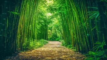 AI Generated Serene pathway through a mystical bamboo forest radiating with vibrant green hues photo