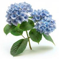 AI generated Bouquet of Blue Flowers With Green Leaves photo