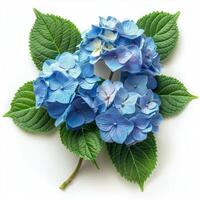 AI generated Bouquet of Blue Flowers With Green Leaves photo
