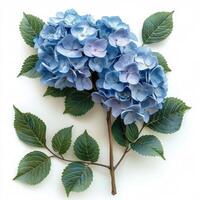 AI generated Bouquet of Blue Flowers With Green Leaves photo
