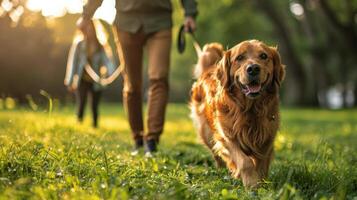 ai generado mujer caminando su perro en el parque foto