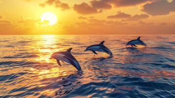 ai generado Tres delfines saltando graciosamente terminado Oceano olas durante un vibrante puesta de sol foto